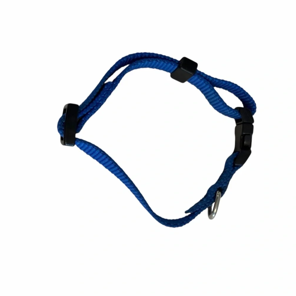 Small Blue Nylon Adjustable Dog/Cat Collar 12”& 46” Matching Leash